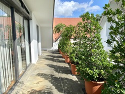 Ming Teck Park (D10), Semi-Detached #315074451